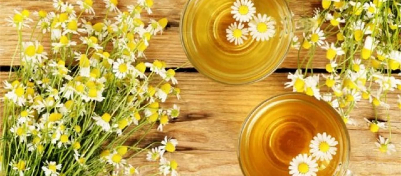 Αυτά είναι τα 6 βότανα για χαλάρωση και ψυχική ισορροπία